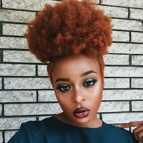 Cabello afro cobrizo oscuro Ideas para el color del cabello cobrizo